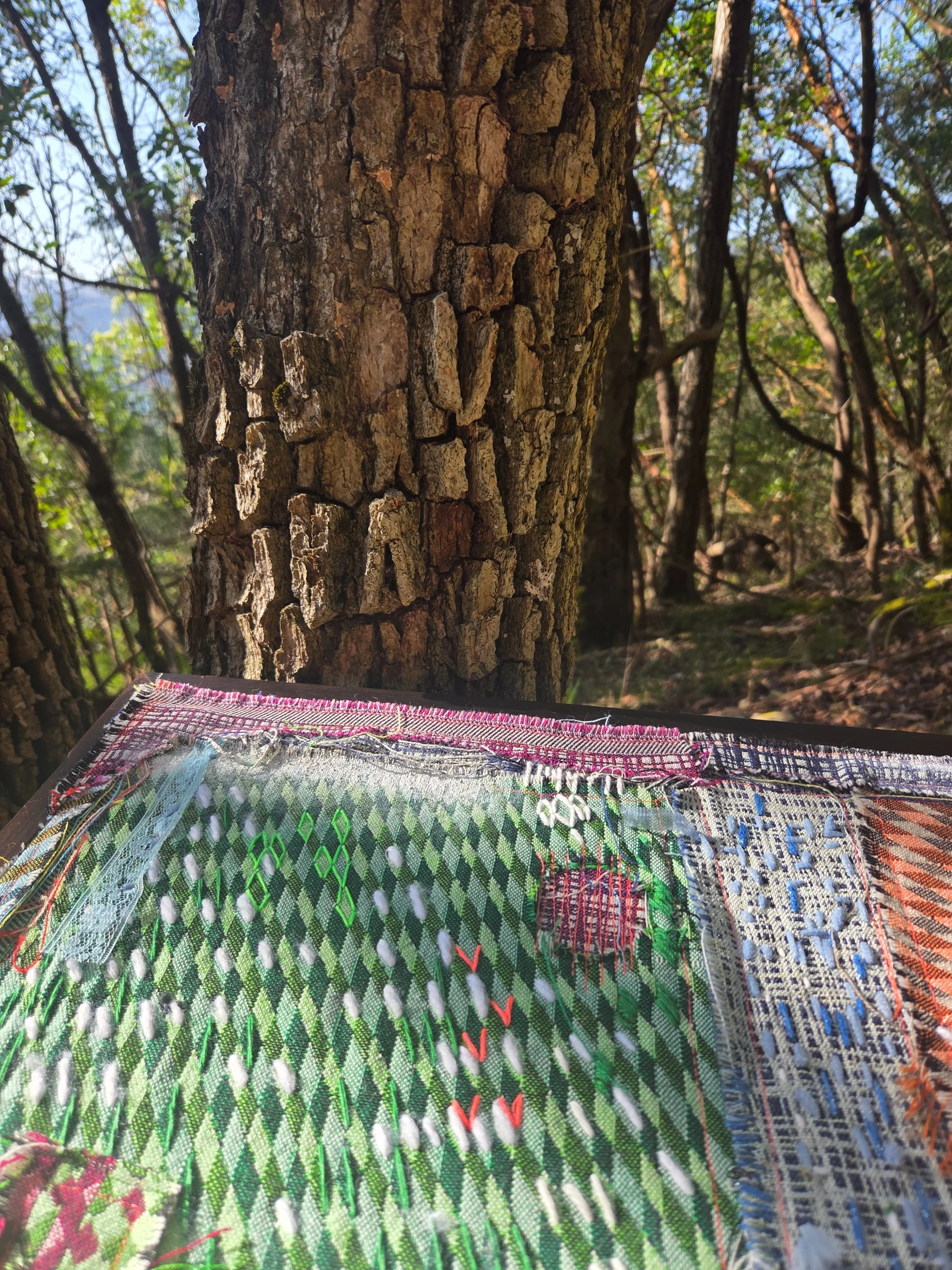 Detail of the green diamond-woven section in forest light
