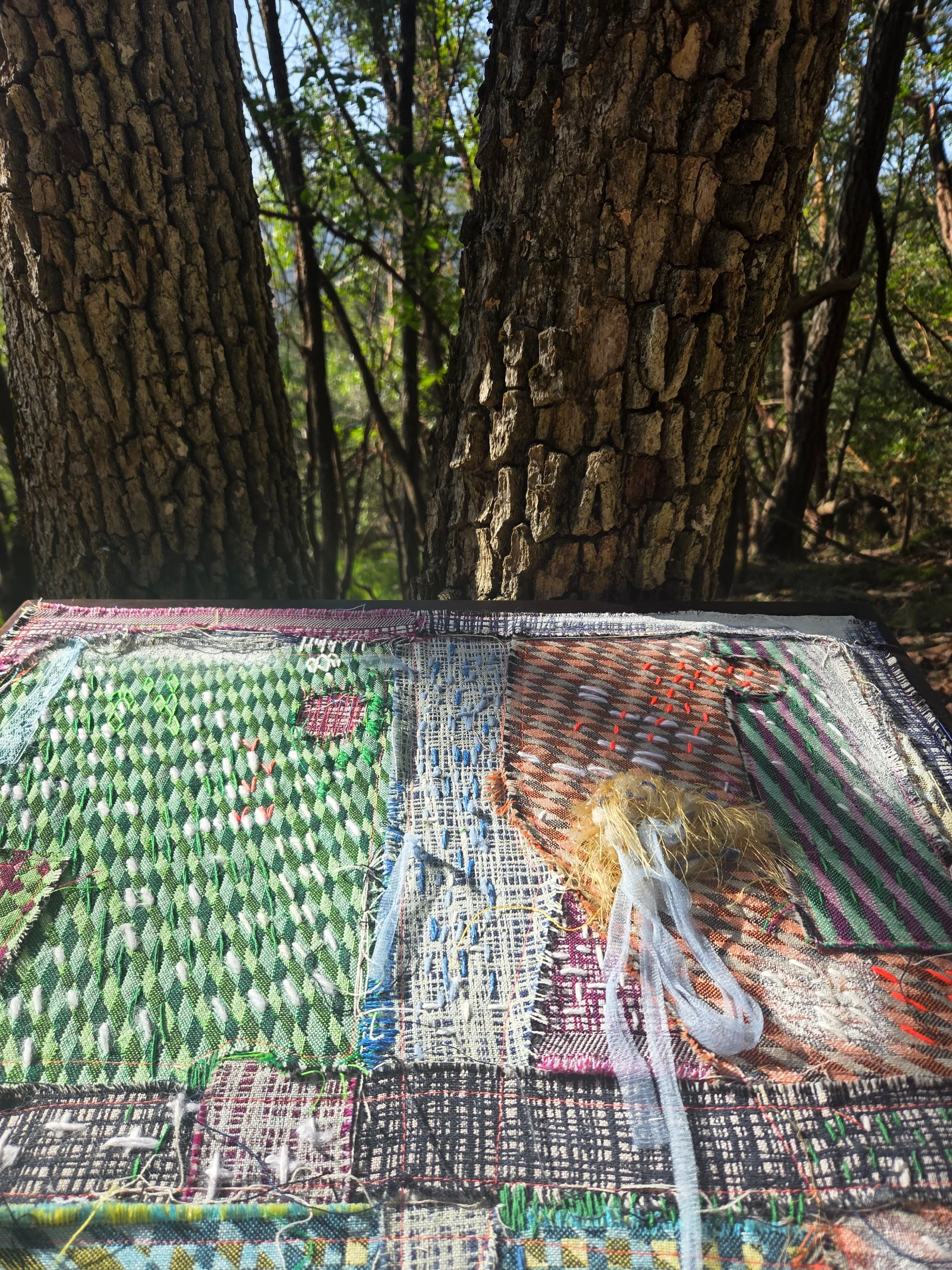 The artwork propped by a large tree trunk in dappled forest light